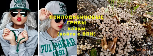 a pvp Зеленокумск