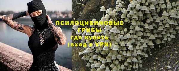 PSILOCYBIN Зерноград
