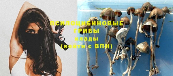 прущая мука Зеленодольск