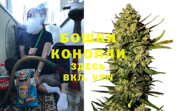 PSILOCYBIN Зерноград