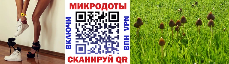 Купить  Саратов  Галлюциногенные грибы Cubensis 
